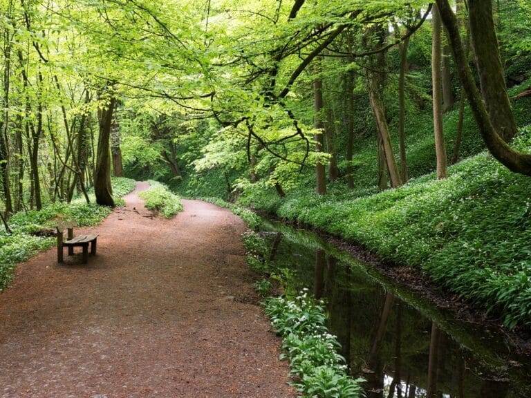 skipton-castle-woods